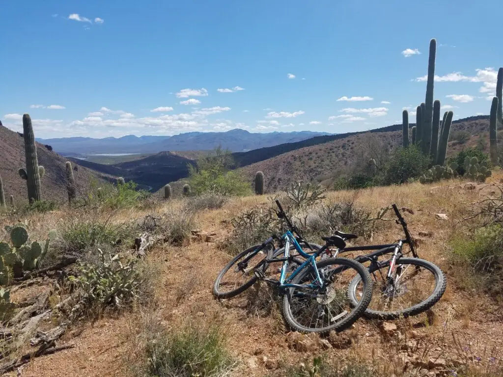 Mountain Bikes in the Desert